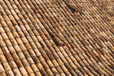 The texture of the old brown shingles on the roof of the building.