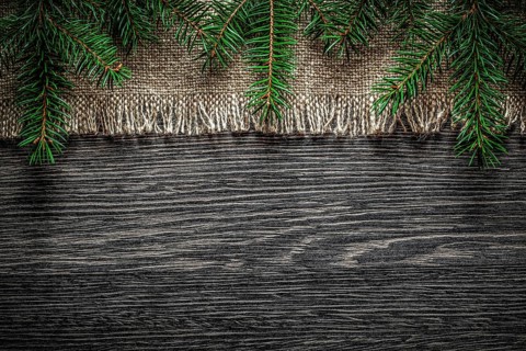 Vintage hessian pine branch on wooden board Christmas background