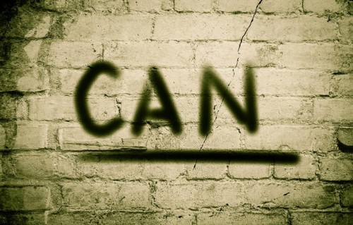 Can Concept