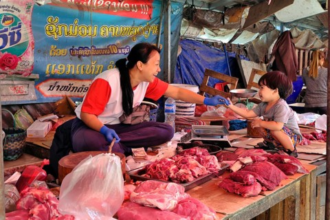 Stall of a meat trader at a market, Luang Prabang, Laos