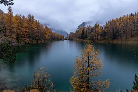 Autumn evening atmosphere, Lake Palpuognasee, Bergün-Filisur, Graubünden, Switzerland
