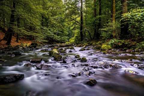 River in the valley - the Löbau water in the Georgewitz scale 1
