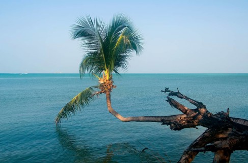 Ko Phangan is 15 kilometers (9.5 miles) north of its more famous neighbour Ko Samui, and, at 168 sq