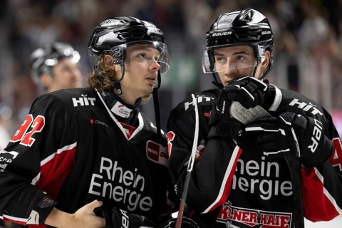 Laura Dick Cologne, LanxessArena, North Rhine-Westphalia, Hakon Hänelt (Koelner Haie, #92), Kevin