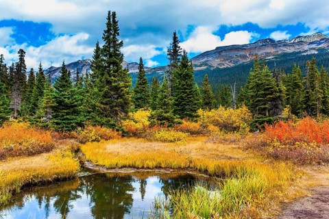 The Rockies of Canada. Small picturesque puddle reflects the cloudy sky. Red, yellow and orange