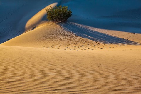 Small ripples of sand orange and traces of animals and people covered dunes. Early morning in a