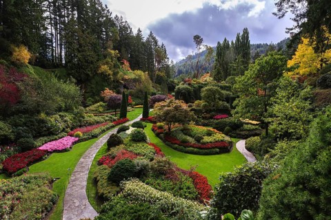 Butchart Gardens - gardens on Vancouver Island. Flower beds of colorful flowers and walking paths