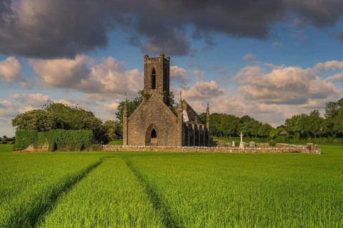 Tracks in cereal leading to old stone ruins and commentary of Ballinafagh Church with dramatic sky