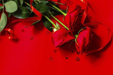 Red roses and heart shaped decor on a red background. Copy space for your design or message