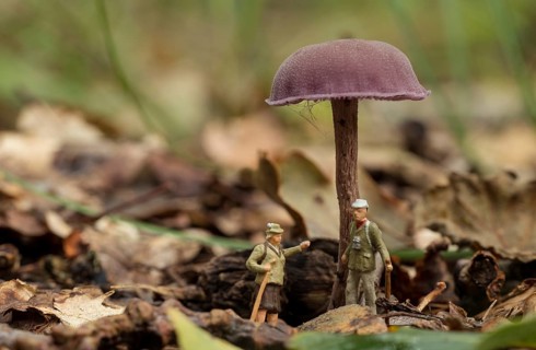 The forest rangers are talking under a mushroom in the forest, little figures from little world