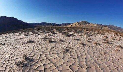 Dawn in Death Valley. Dry brush on white cracked soil. Rhotograph Fisheye lens