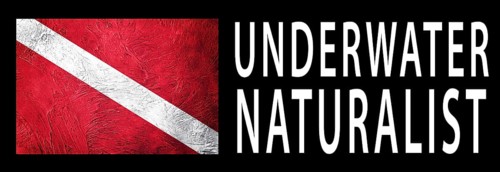 Underwater Naturalist, Diver Down Flag, Scuba flag, Scuba Diving