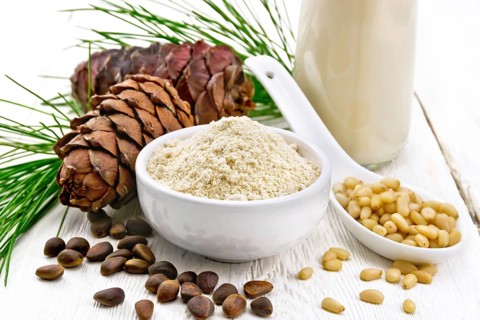 Cedar flour in a bowl, nuts and cones, a spoon with peeled nuts, green pine branch and cedar milk