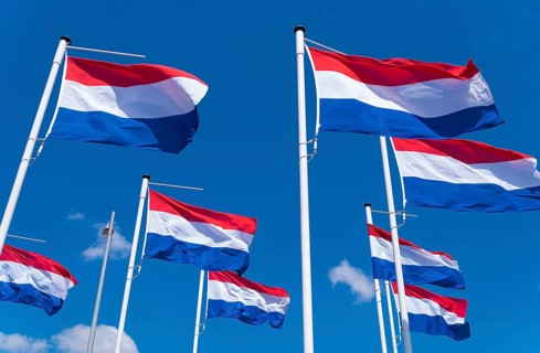 Many dutch flags against a blue sky