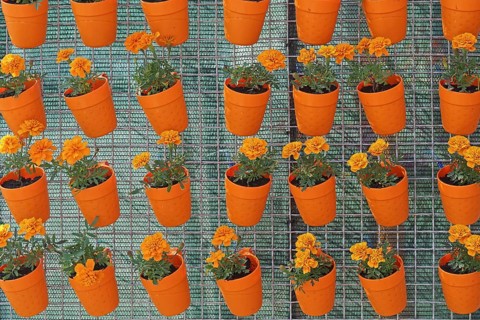 Orange flower pots hanging at wire mesh repetition