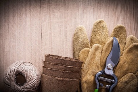 Sharp pruning shears leather safety gloves peat pots and hank of string on vintage wooden board