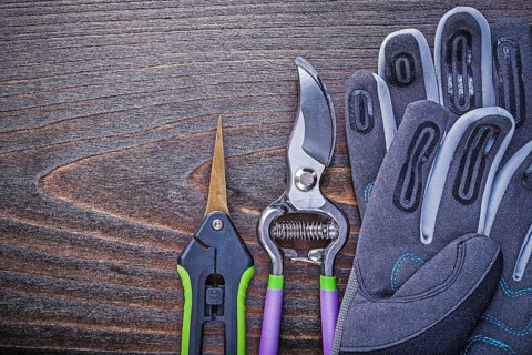 Working safety gloves garden shears secateurs on wooden board