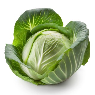 Cabbage isolated on white background. Clipping Path. Full depth of field