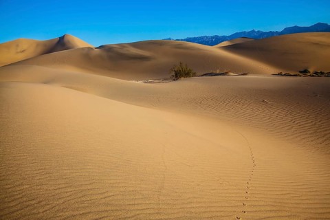 Hot autumn in Death Valley, California. Hot and windy morning in the desert. The soft curves of