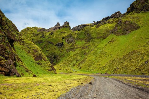The summer blossoming Iceland. A canyon Pakgil - green grass and moss on fantastic rocks. On canyon