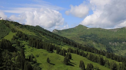 Green mountain meadows and forest in Gsteig near Gstaad. Arnehore