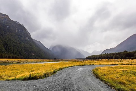 Dirt road to sea fjord Milford Sound. South Island of New Zealand. Fields with yellow autumn grass