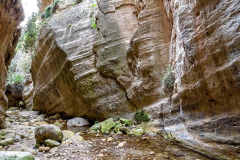 Avagas Gorge in the western part of Cyprus