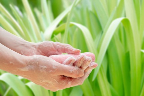 Antibacterial soap in the hands. Hand disinfection with soap. Cleanliness and hygiene in everyday