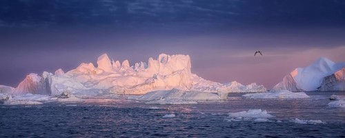 Floating glaciers in the rays of the setting sun at polar night