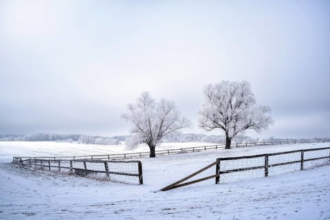 Snow-covered landscape in winter in Masuria in eastern Poland