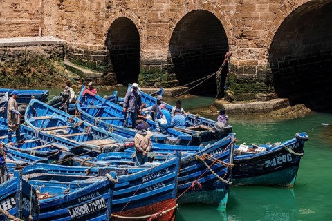 Classic Moroccan fishing boats, fishing port, Essaouira, morocco