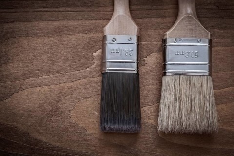 Two paintbrushes with wood handles and bristle horizontal version