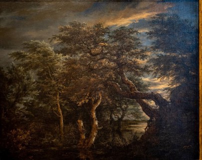 Jacob Isaacksz Van Ruisdael, A marsh in a forest at dusk, 1665, oil on panel, Museo de Bellas