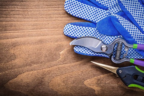 Safety gloves garden shears secateurs on wooden board gardening concept