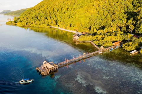 Jetty of the Raja Ampat Dive Lodge, Raja Ampat, West Papua, Indonesia
