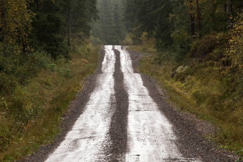 Gravel road through forest, Glaskogen Nature Reserve, Värmland, Sweden