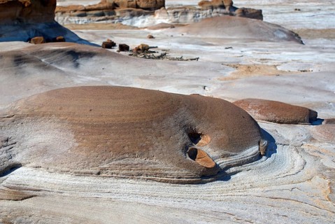Soil formation, Virani, Kutch, Gujarat, India