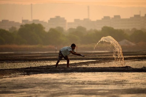 Men working in salt pans, Wadala, Mumbai, Maharashtra, India, Asia