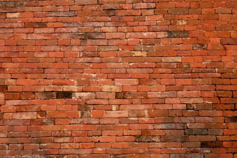 Brick wall ruins of Nalanda University first residential International University of world,
