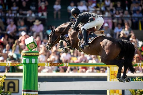 Harrie Smolders of The Netherlands and riding Uricas V/D Kattevennen compete in the first round of