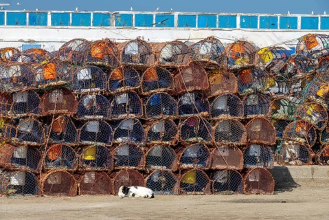 Stack of crab traps is Essaouira port, Morocco