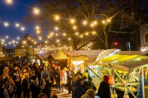Christmas market on the village green Altkötzschenbroda Radebeul, Saxony, Germany