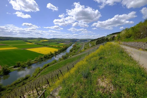 Landscape and vineyards near Stetten with a view of the Main valley, Main-Spessart district, Lower