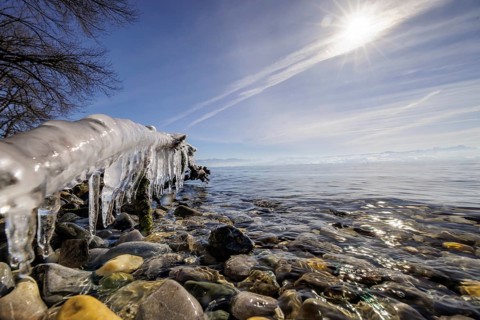 Clear water meets stony beach with icicles on the branch, the sun shines brightly, harbour, Gohren,