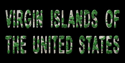 Virgin Islands US Reforestation and Climate Message, Sustainable Green Typography, Green Agenda