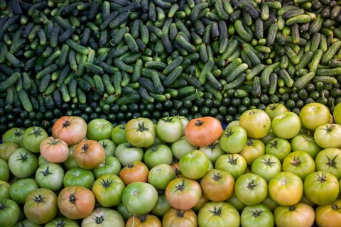 Green unripe fresh tomato and cucumber for food concept