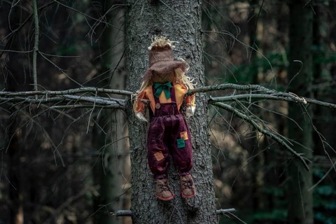 Shabby doll, stuffed with hay, a scarecrow, sitting between two branches of a tree without leaves,