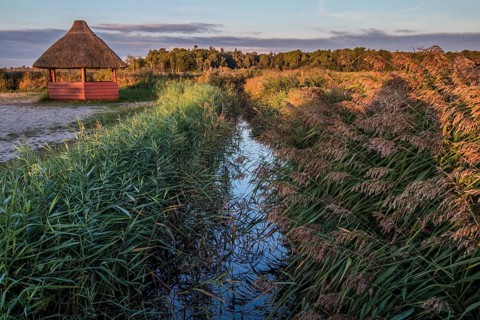 Tidal creek near Born (Fischland-Darß-Zingst peninsula)