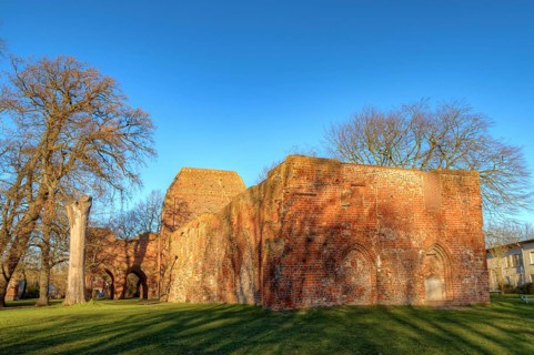 Eldena monastery ruins