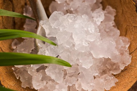 Water kefir grains